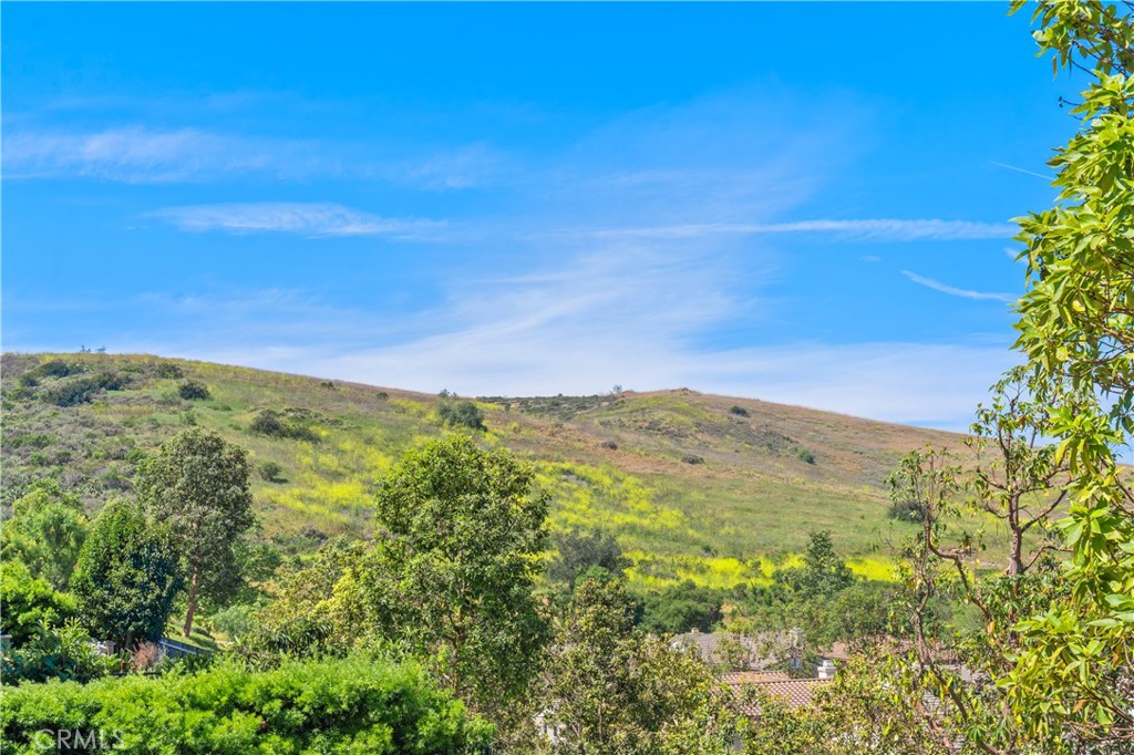 https://media.crmls.org/medias/07bde956-159b-42f6-8ec2-cf41ccf38d1c.jpg?preset=X-Large