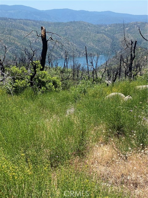 315 Harrison Springs, Berry Creek CA: https://media.crmls.org/medias/07be8da6-53ad-4302-abb8-6cc1809af8cb.jpg