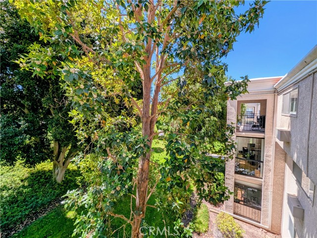 5499 Paseo Del Lago W, Laguna Woods CA: https://media.crmls.org/medias/07cea3be-c746-4f4b-9476-d76d6aa4f261.jpg