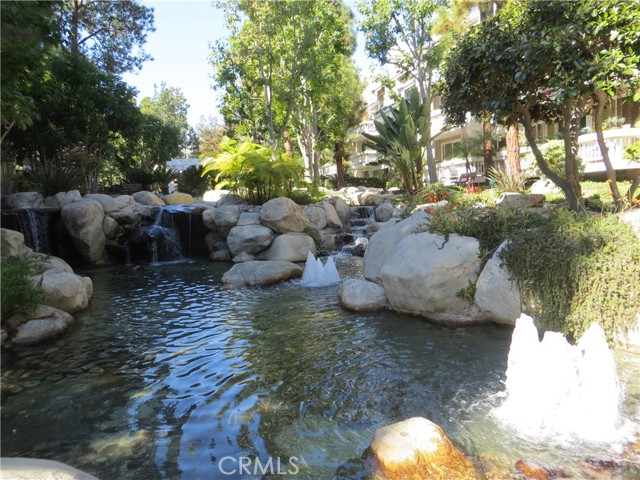 water garden 2