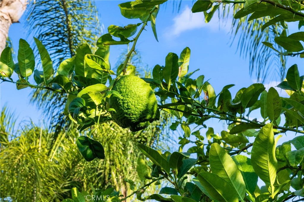 https://media.crmls.org/medias/07d3fc40-b7f9-43cb-8a8d-e9fbf3b5dd51.jpg?preset=X-Large