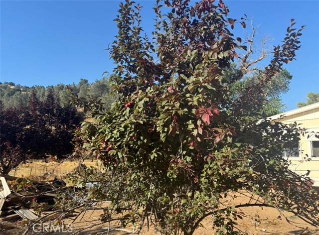 Detail Gallery Image 13 of 50 For 18266 Caliente Creek Rd, Caliente,  CA 93518 - 2 Beds | 2 Baths