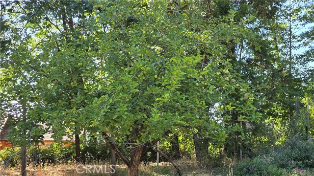13793 Nimshew Road, Magalia CA: https://media.crmls.org/medias/07d94476-5d91-497a-865c-623b614fc9b6.jpg