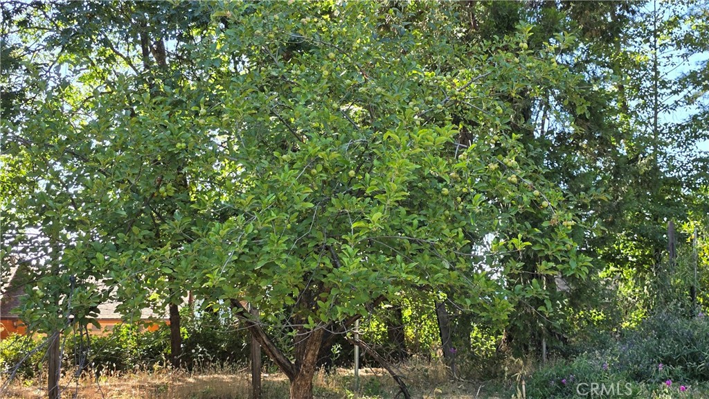 https://media.crmls.org/medias/07d94476-5d91-497a-865c-623b614fc9b6.jpg?preset=X-Large