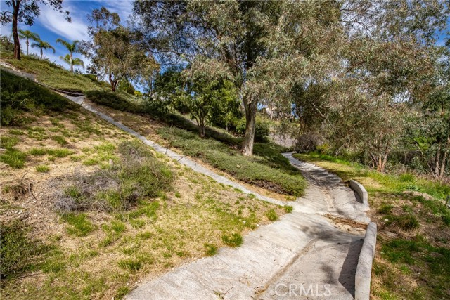 Image 10 of 31 For 24910 Chicory Court