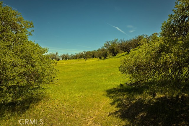 0 Geneseo Road, Paso Robles, California 93446, ,Land,For Sale,0 Geneseo Road,CRNS22102483