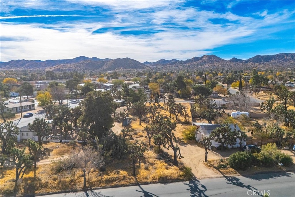 MLS #JT24242318 image #12