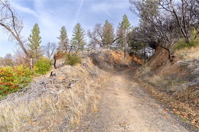 2231 Lumpkin Road, Oroville, California 95966, ,Land,For Sale,2231 Lumpkin Road,CRSN23227176