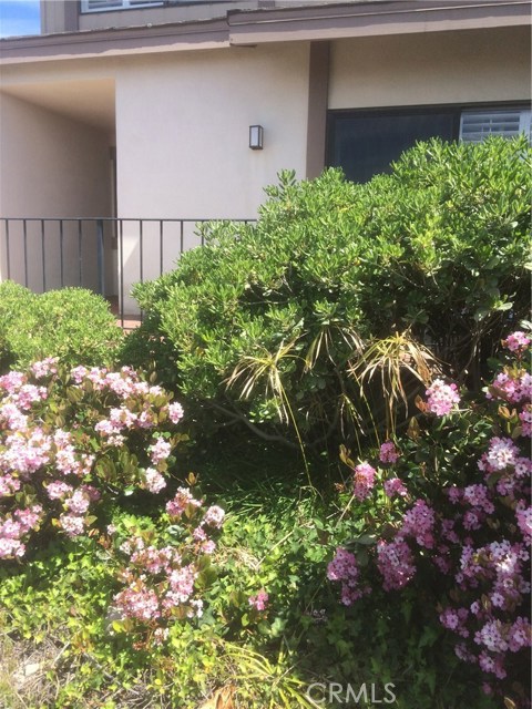 28125 Ridgepoint Court, Rancho Palos Verdes, California 90275, 3 Bedrooms Bedrooms, ,2 BathroomsBathrooms,Residential,Sold,Ridgepoint,SB17054827