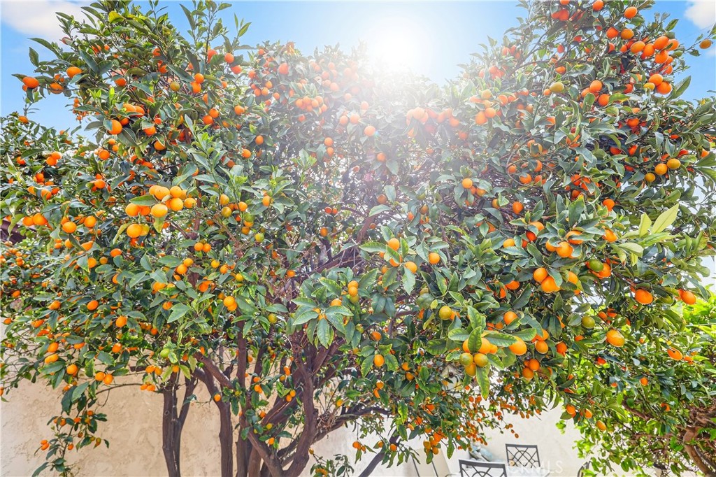 https://media.crmls.org/medias/07f76483-3e58-4213-8b7b-e5c0ae956937.jpg?preset=X-Large