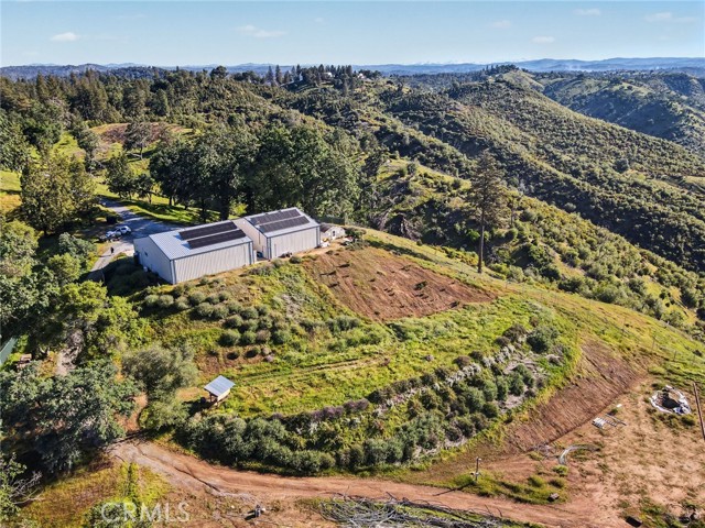 Image 27 of 36 For 3029 Freshwater