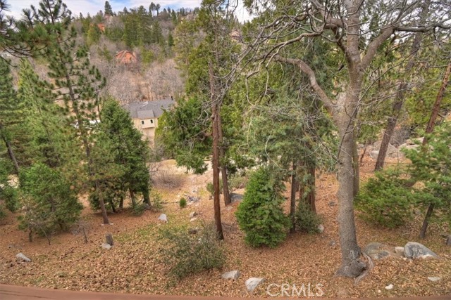 Detail Gallery Image 50 of 53 For 1254 Calgary, Lake Arrowhead,  CA 92352 - 4 Beds | 3/1 Baths