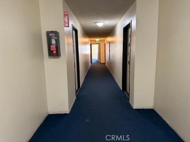 6242 Vineland Avenue, North Hollywood CA: https://media.crmls.org/medias/0800dfca-c1cc-47c3-a469-9b472e5e5f75.jpg