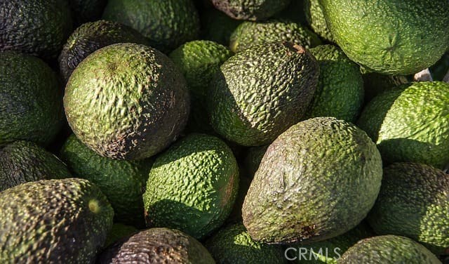 https://media.crmls.org/medias/08014780-d866-42ad-95c4-6aa44f9f98f9.jpg?preset=X-Large