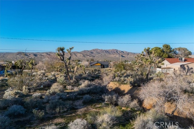 Detail Gallery Image 4 of 25 For 60432 Latham Trl, Joshua Tree,  CA 92252 - – Beds | – Baths