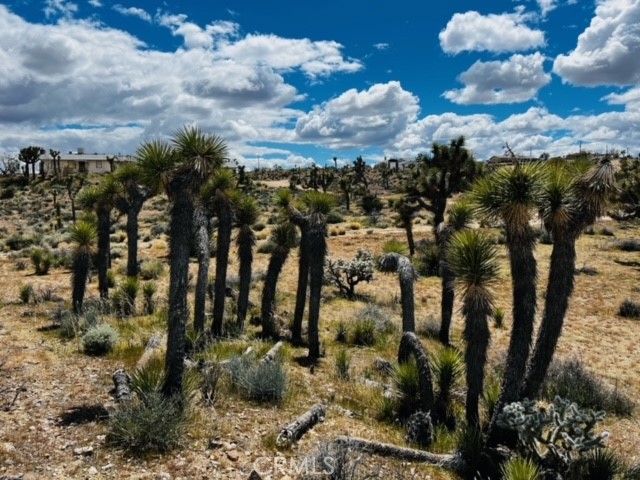 Detail Gallery Image 9 of 16 For 57864 Sunflower Dr, Yucca Valley,  CA 92284 - – Beds | – Baths