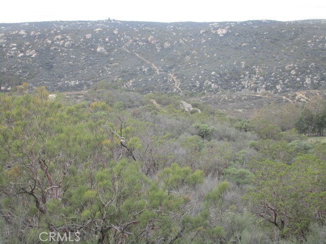 38750 Reed Valley Road