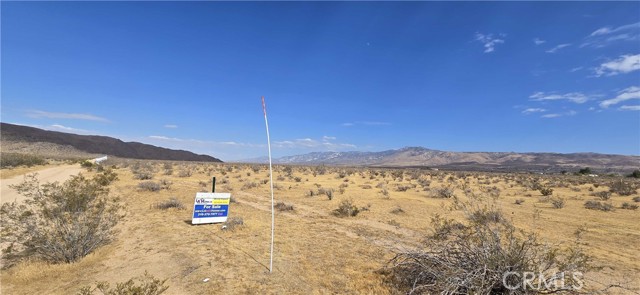 Front Image Thumbnail for CRDW26161729