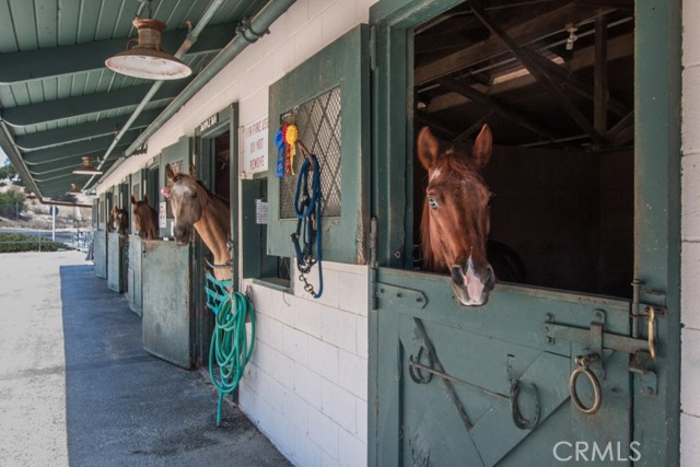 Detail Gallery Image 50 of 50 For 851 Ronda Mendoza #B,  Laguna Woods,  CA 92637 - 2 Beds | 2 Baths