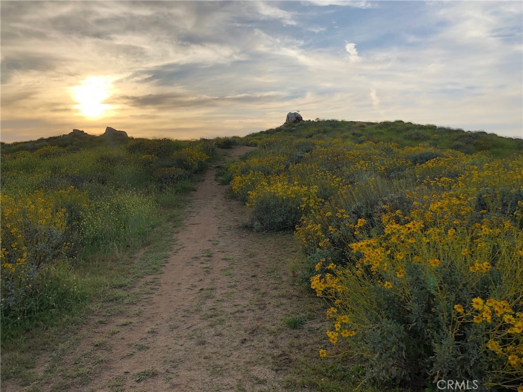 https://media.crmls.org/medias/08123b3a-50b8-48bc-8cea-01a63fd6bcf1.jpg?preset=X-Large
