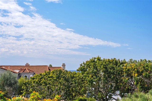 Detail Gallery Image 28 of 47 For 3 Saint Kitts, Dana Point,  CA 92629 - 3 Beds | 2/1 Baths