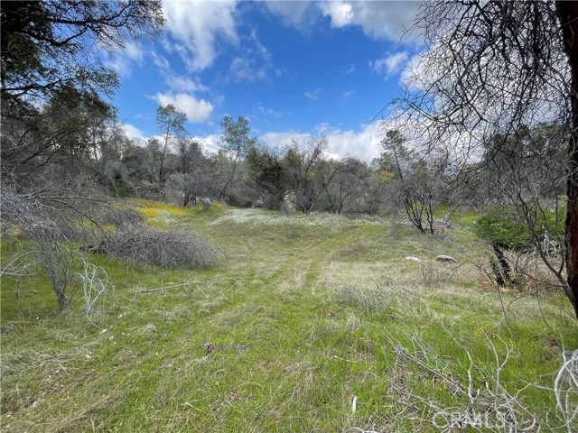 Detail Gallery Image 24 of 24 For 3786 Bronco Hollow Rd, Mariposa,  CA 95338 - – Beds | – Baths