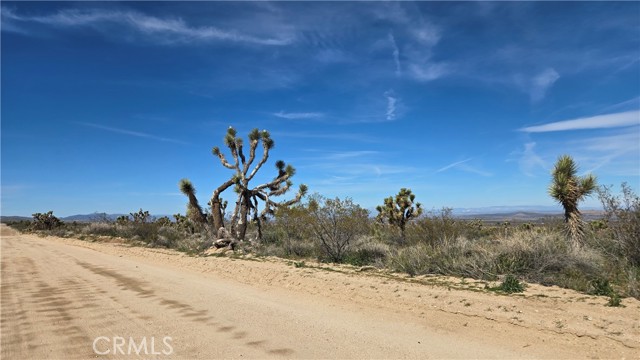 Detail Gallery Image 16 of 50 For 0 Fort Tejon Rd Vicinity 181st St E, Llano,  CA 93544 - – Beds | – Baths