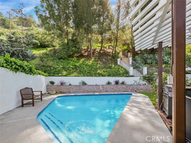 Pool & Backyard Greenery