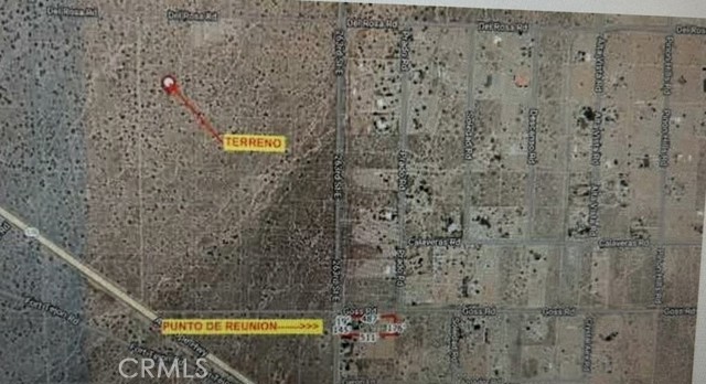 Detail Gallery Image 4 of 6 For 0 Avenue Y, Pinon Hills,  CA 93544 - – Beds | – Baths