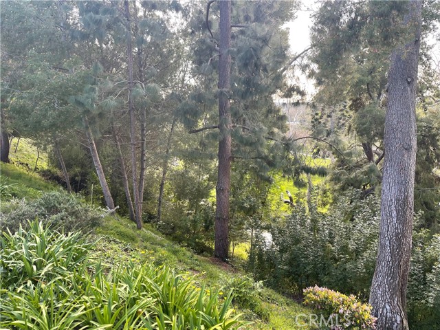 Detail Gallery Image 32 of 32 For 638 Avenida Sevilla #B,  Laguna Woods,  CA 92637 - 2 Beds | 2 Baths