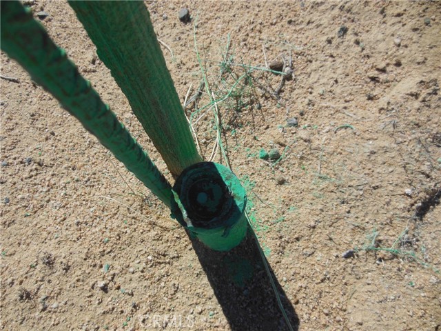 Detail Gallery Image 4 of 9 For 101 Smoke Bush, Lucerne Valley,  CA 92356 - – Beds | – Baths