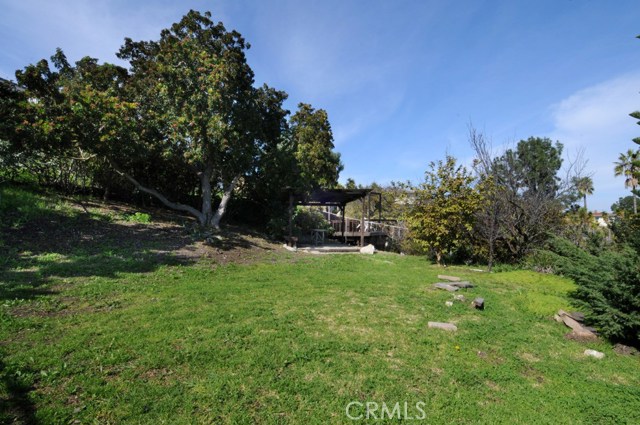 Second Yard up above.  Add guest house, pool?  Options are endless.