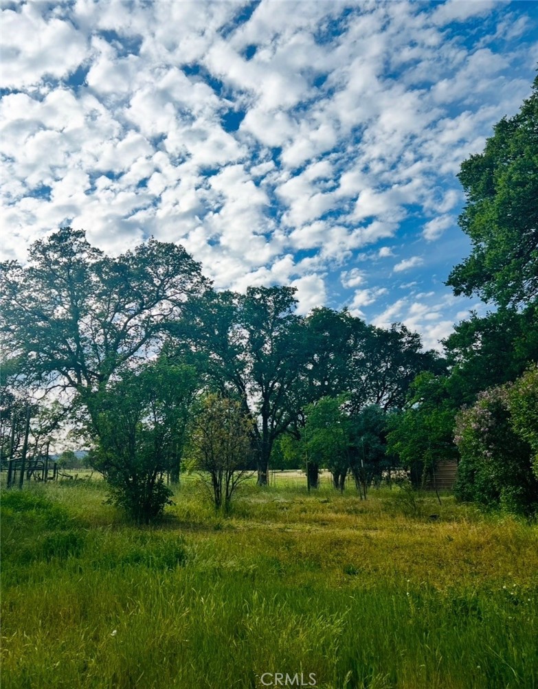 https://media.crmls.org/medias/0831e9d9-5f0f-4dd0-80d7-8e4d6890c9ae.jpg?preset=X-Large