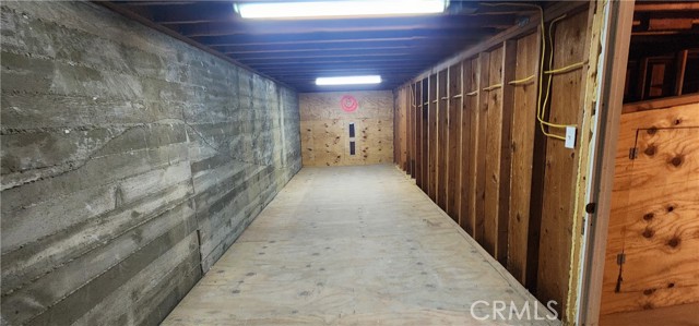 \"Basement\" storage (Under the driveway)