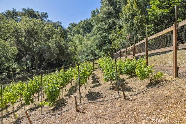 12675 Cabazon, Atascadero CA: https://media.crmls.org/medias/08393a97-060b-4b46-9c2d-6c7354f0a524.jpg