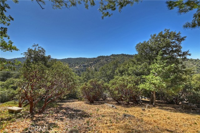 Detail Gallery Image 9 of 17 For 0 Grass Valley Rd, Lake Arrowhead,  CA 92352 - – Beds | – Baths