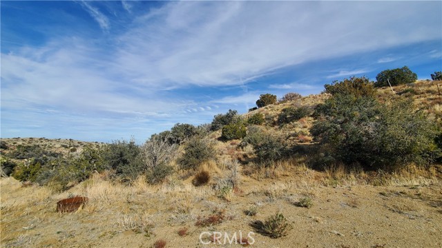 MLS #SR25242278 image #39