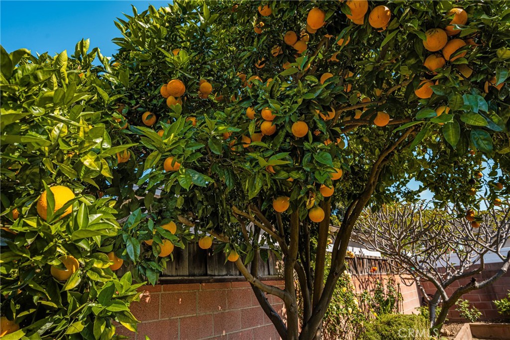 https://media.crmls.org/medias/0841c419-09d7-4d10-9cbd-f53ef2cec383.jpg?preset=X-Large