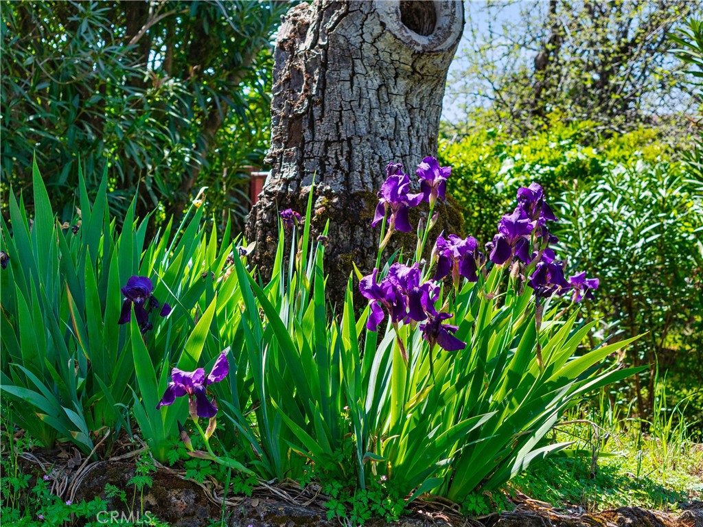 https://media.crmls.org/medias/08467bd0-9466-4c2c-a09a-6cda264a2fc6.jpg?preset=X-Large