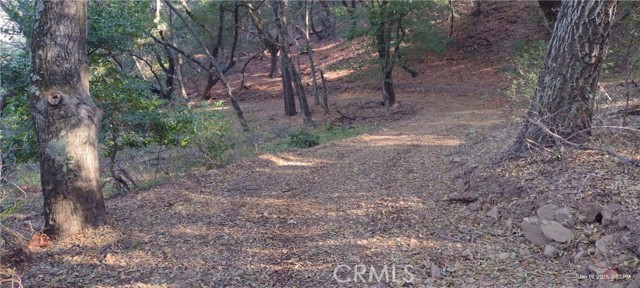 9500 Santa Rosa Creek Road, Templeton, California 93465, ,Land,For Sale,9500 Santa Rosa Creek Road,CRPI24153900