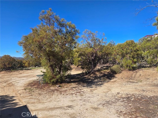 Detail Gallery Image 41 of 60 For 42475 La Brinia, Anza,  CA 92539 - 2 Beds | 2 Baths