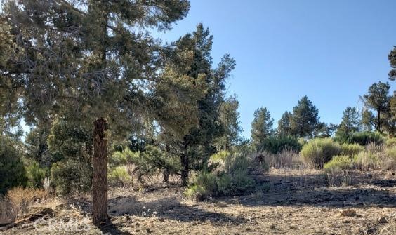 Image 13 of 15 For 0 Ponderosa Ranch Road