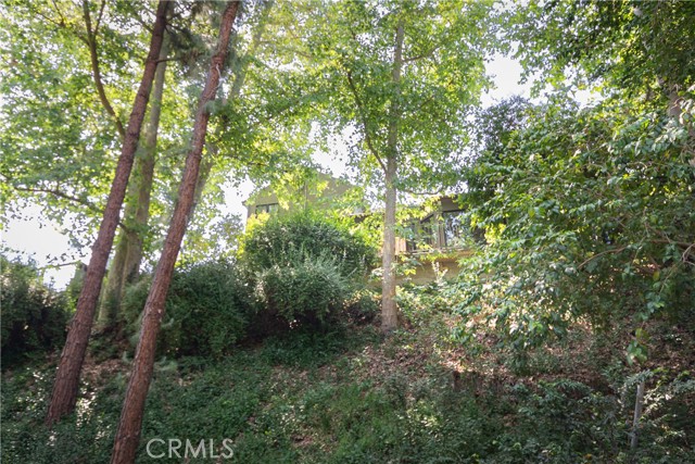 4851 Corbin Avenue, Tarzana CA: https://media.crmls.org/medias/084ddbcf-db6a-4fa0-8399-be11a5008782.jpg