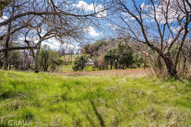 Detail Gallery Image 43 of 55 For 6096 Carter Rd, Mariposa,  CA 95338 - 3 Beds | 2 Baths