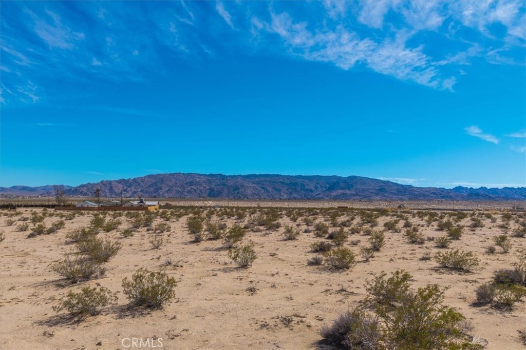 MLS #JT25029805 image #28