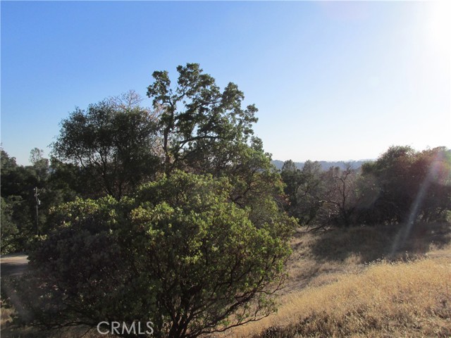 Detail Gallery Image 28 of 54 For 2 Ac Old Oaks Ct, North Fork,  CA 93643 - – Beds | – Baths