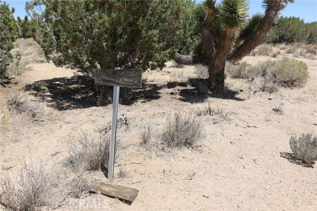 Detail Gallery Image 48 of 58 For 0 Longview Rd, Pearblossom,  CA 93553 - – Beds | – Baths