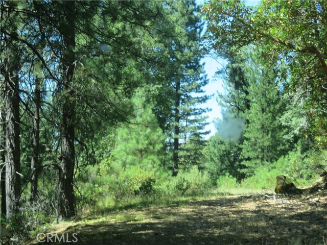 0 Barns Ranch Road, Covelo, California 95428, ,Land,For Sale,0 Barns Ranch Road,CRSN23031018