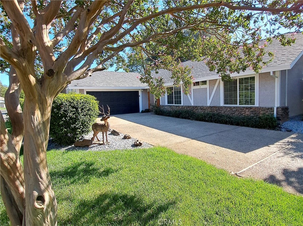 36 Skymountain Circle, Chico, CA 95928