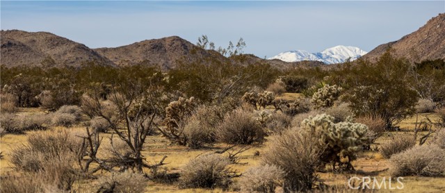 Detail Gallery Image 7 of 35 For 605 Appian Way, Joshua Tree,  CA 92252 - 0 Beds | 0 Baths